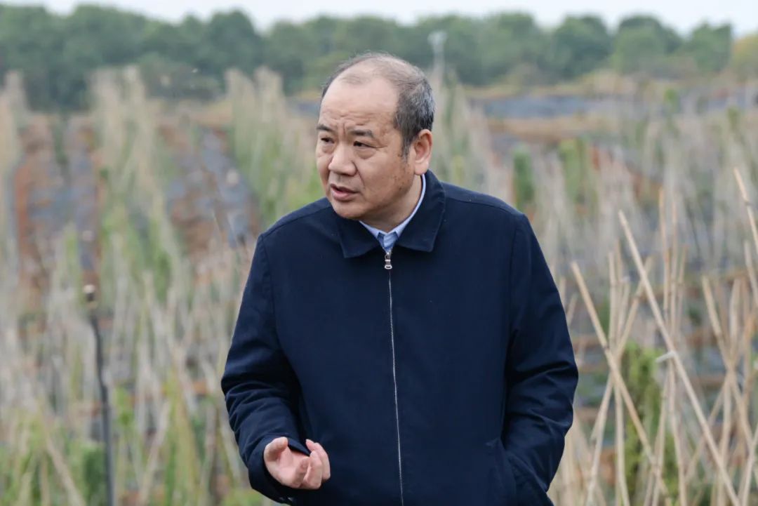 1669620412138377.jpg 640 (11).jpg