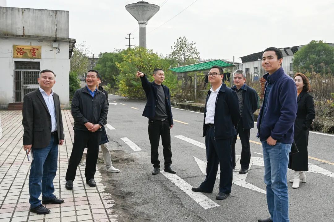 1669621875121650.jpg 640.jpg