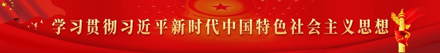 学习贯彻习近平新时代中国特色社会主义思想
